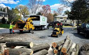 Lawn Drainage Solutions in Bigfoot, TX